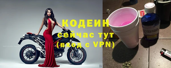 сатива Кукмор