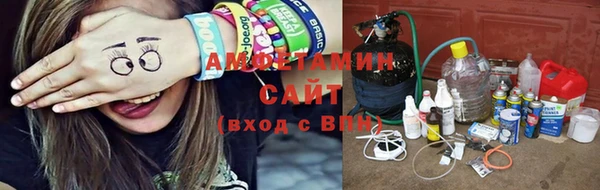 сатива Кукмор