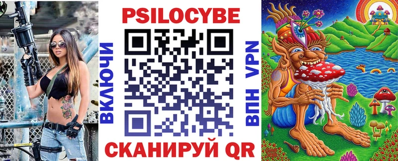 Купить где  Оса  Псилоцибиновые грибы GOLDEN TEACHER 